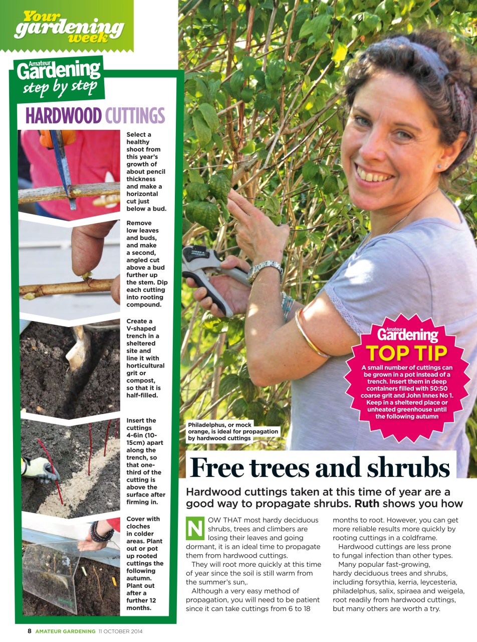 Amateur Gardening Preview Pages