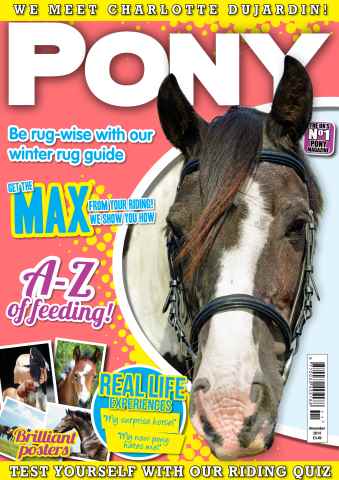 Pony Magazine issue November 2014 - PONY Magazine