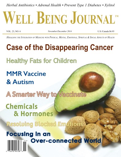 Well Being Journal issue 