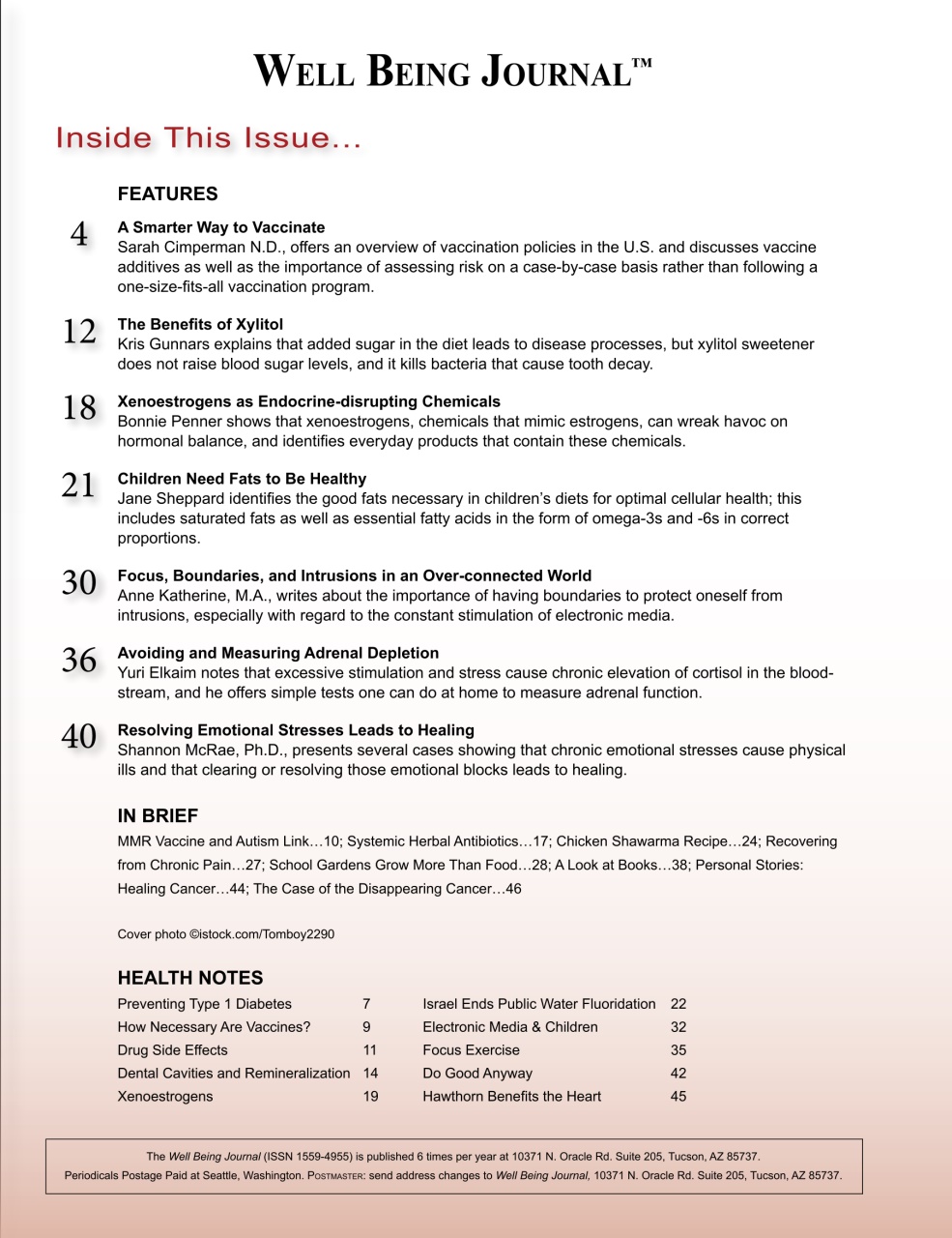 Well Being Journal Preview Pages
