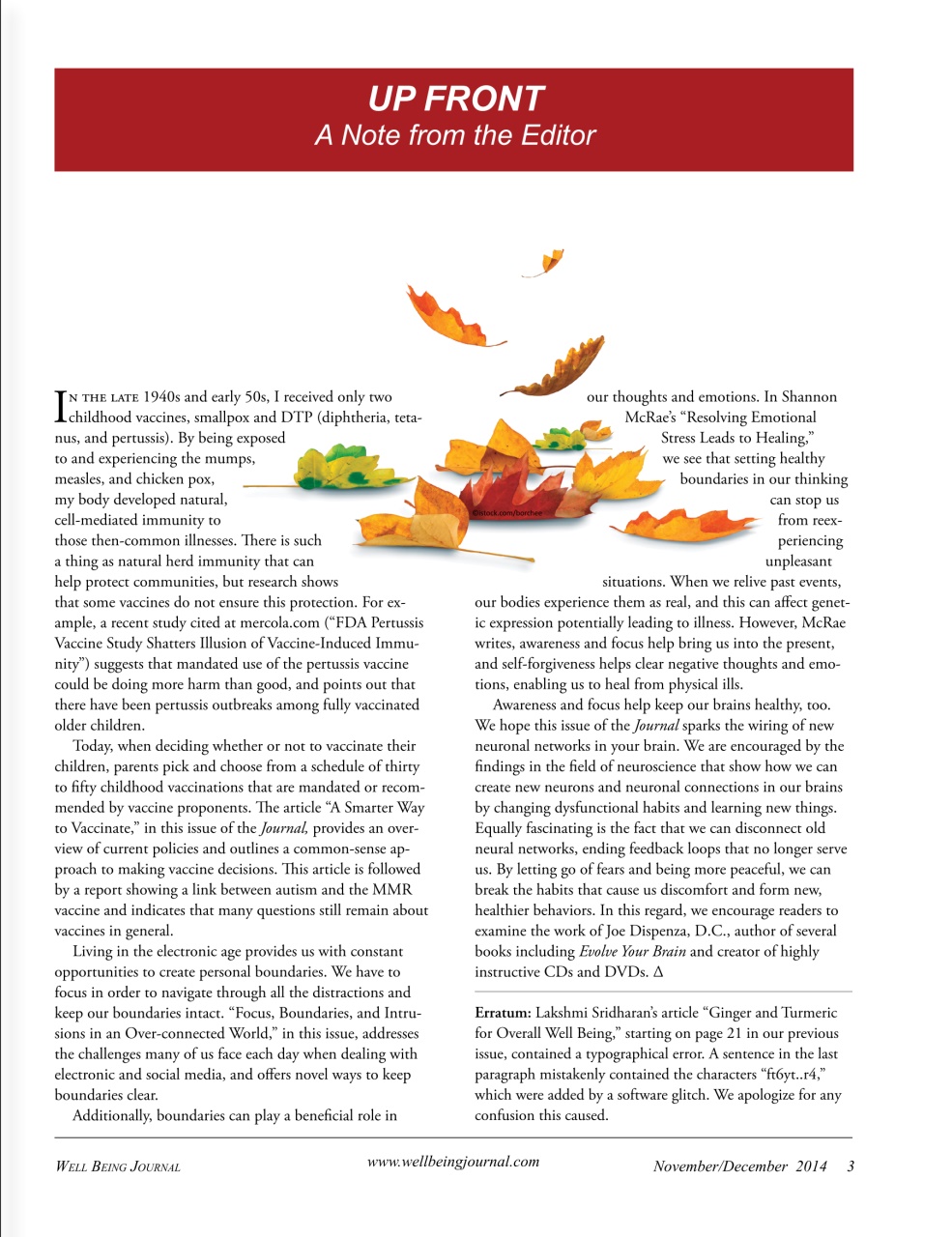 Well Being Journal Preview Pages