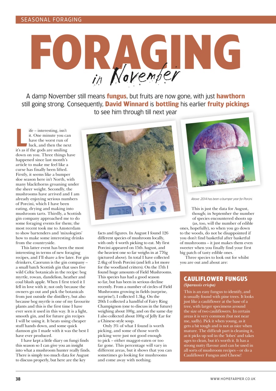 Home Farmer Magazine Preview Pages