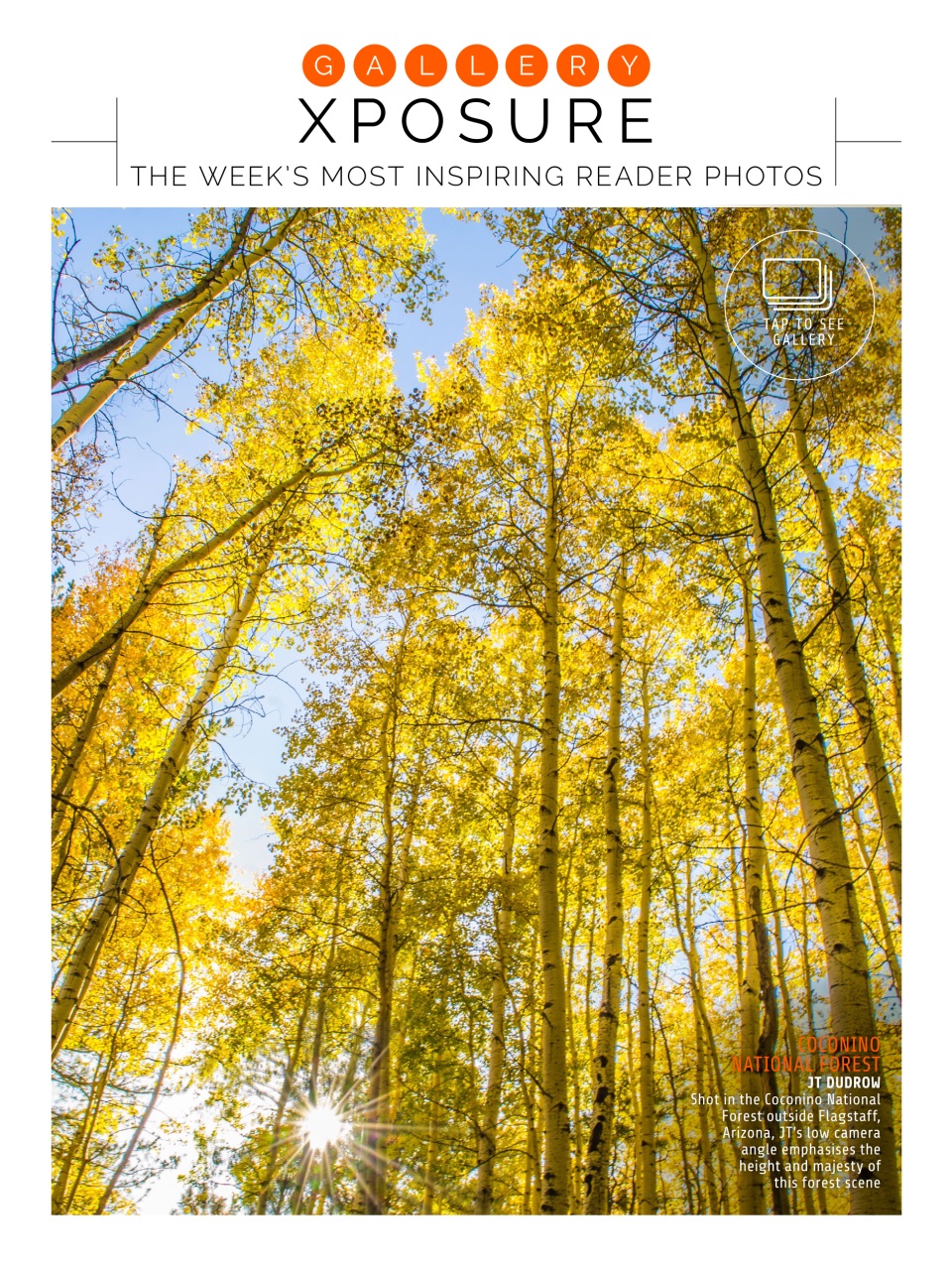 Photography Week Preview Pages