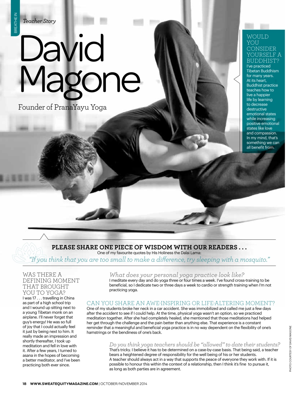 Sweat Equity Preview Pages