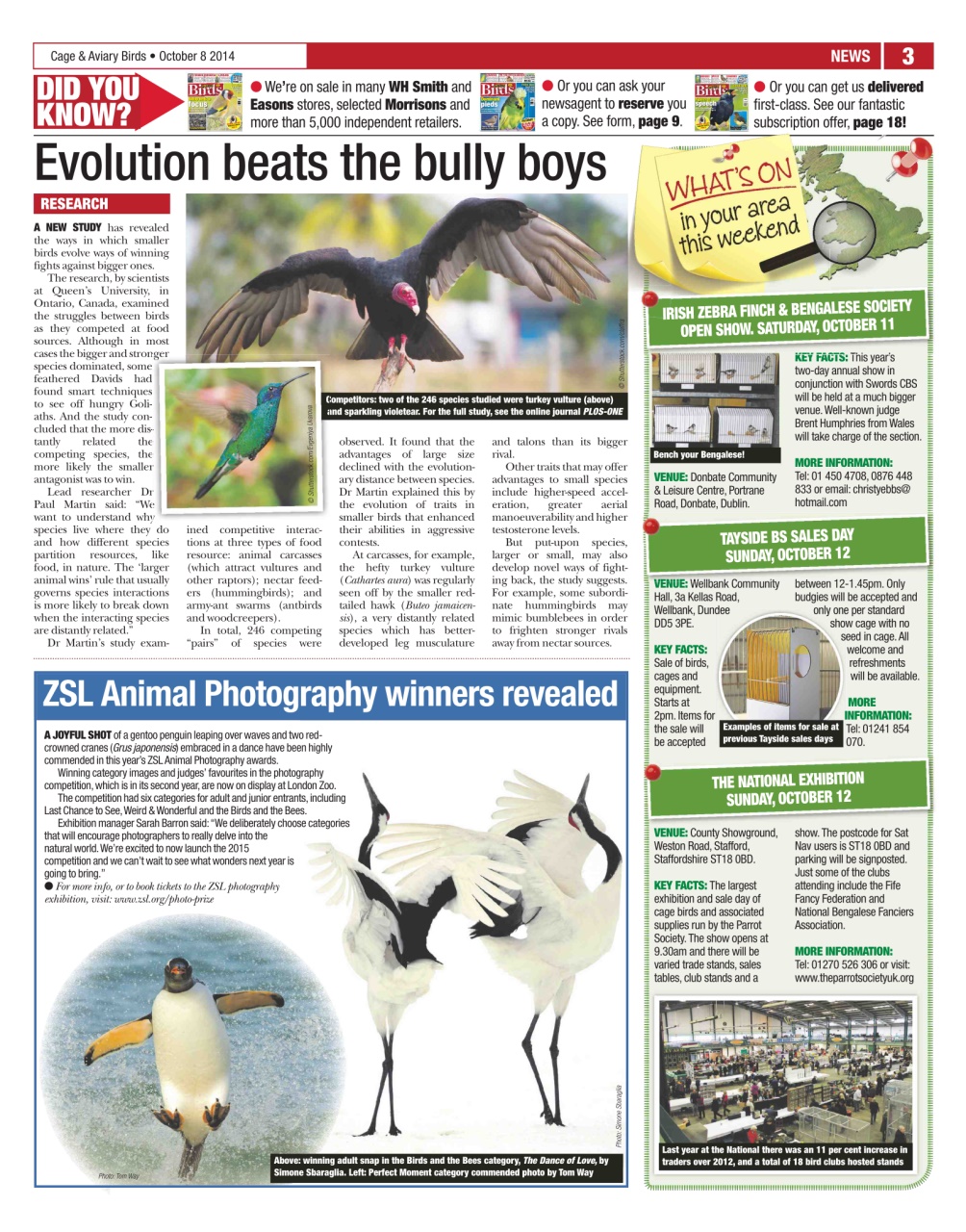 Cage & Aviary Birds Preview Pages