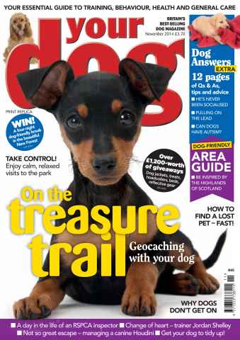 Your Dog issue Your Dog Magazine FREE SAMPLE ISSUE