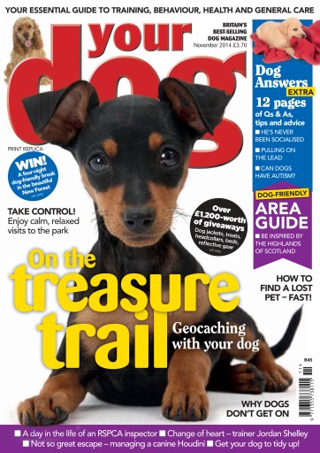 Your Dog issue 