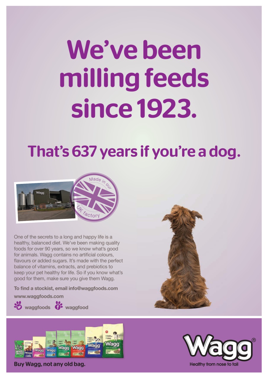 Your Dog Preview Pages