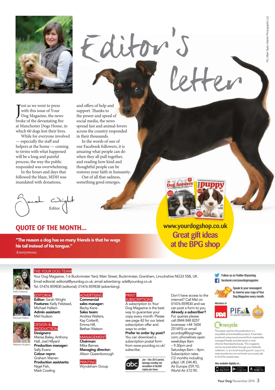 Your Dog Preview Pages