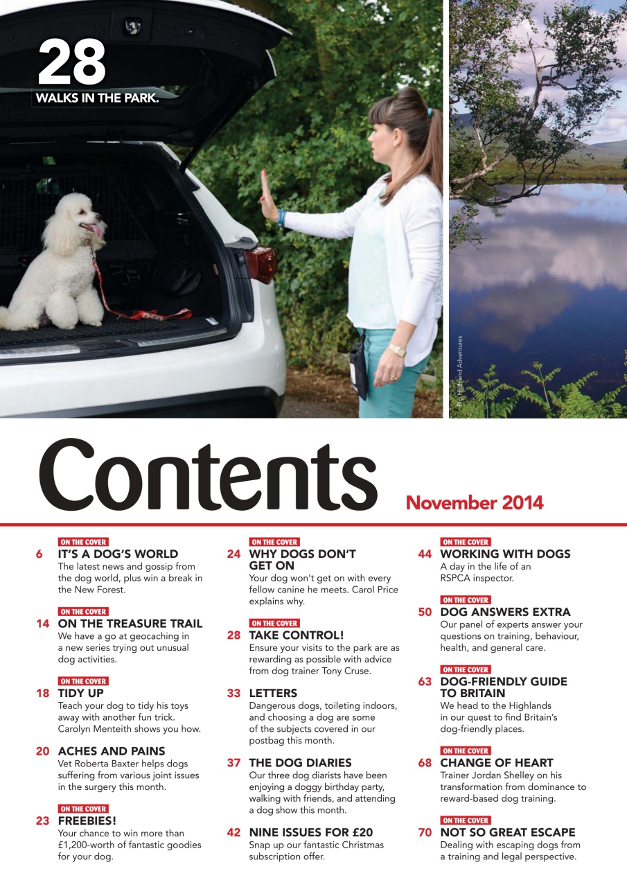 Your Dog Preview Pages