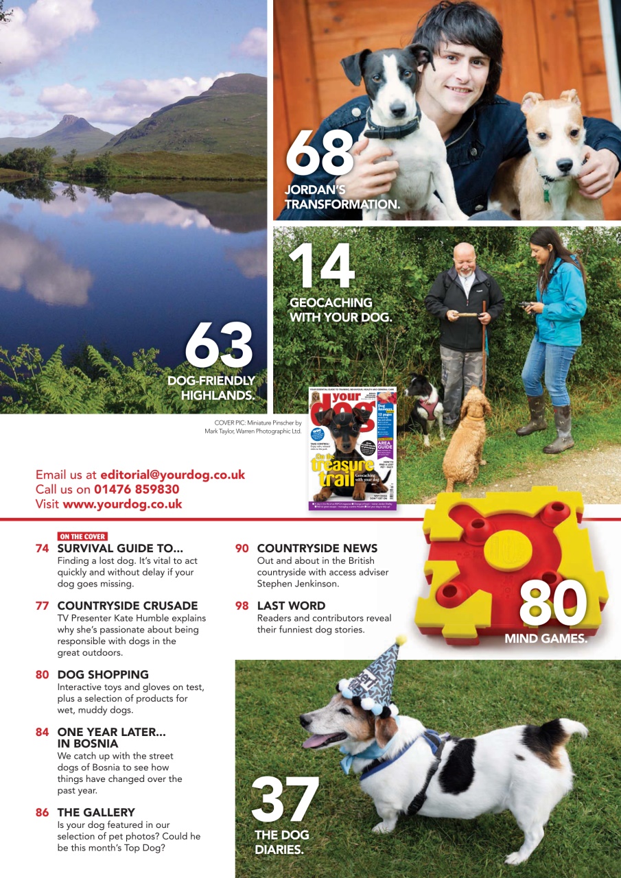 Your Dog Preview Pages