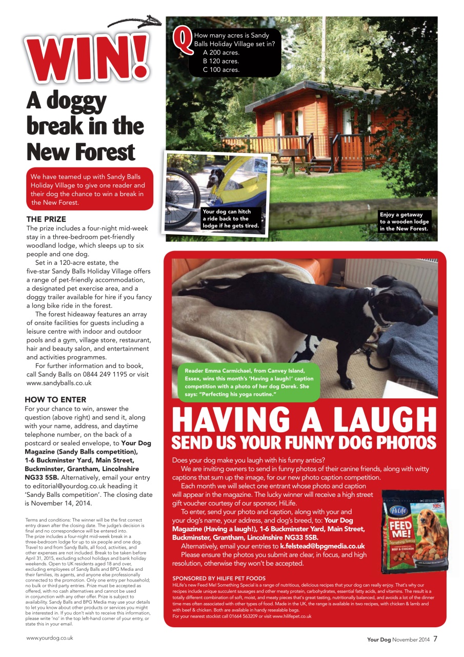 Your Dog Preview Pages