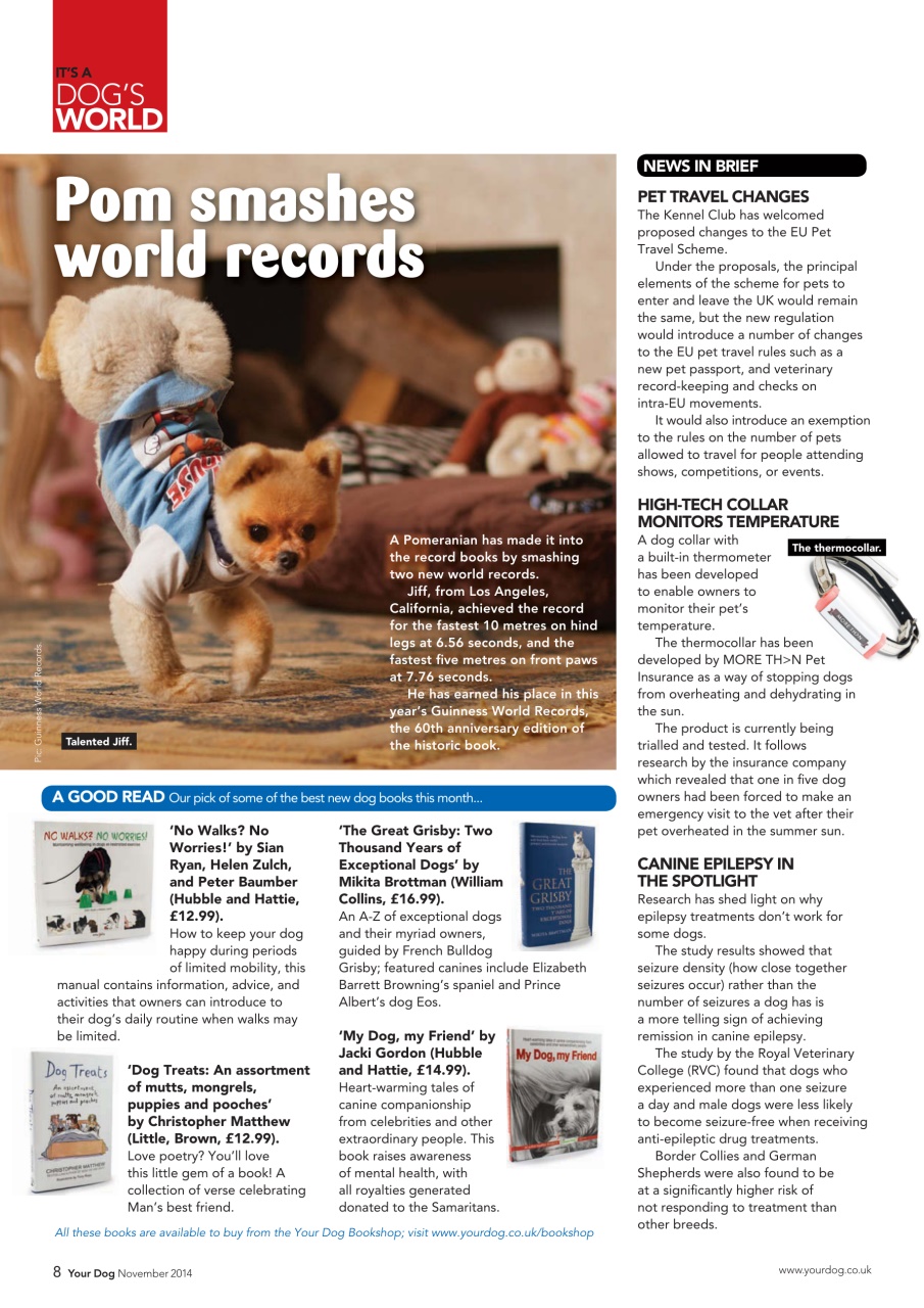 Your Dog Preview Pages