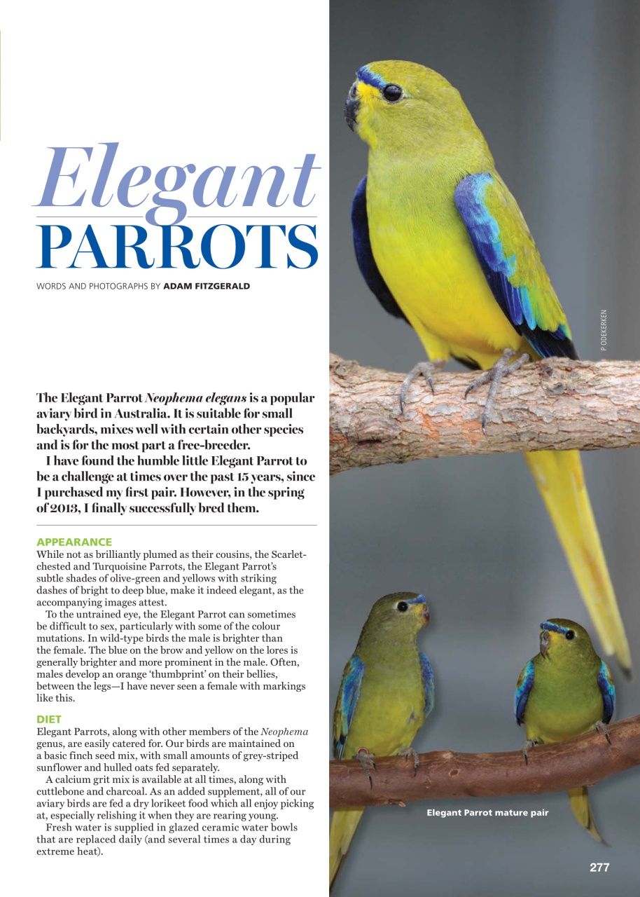 Australian Birdkeeper Magazine Preview Pages