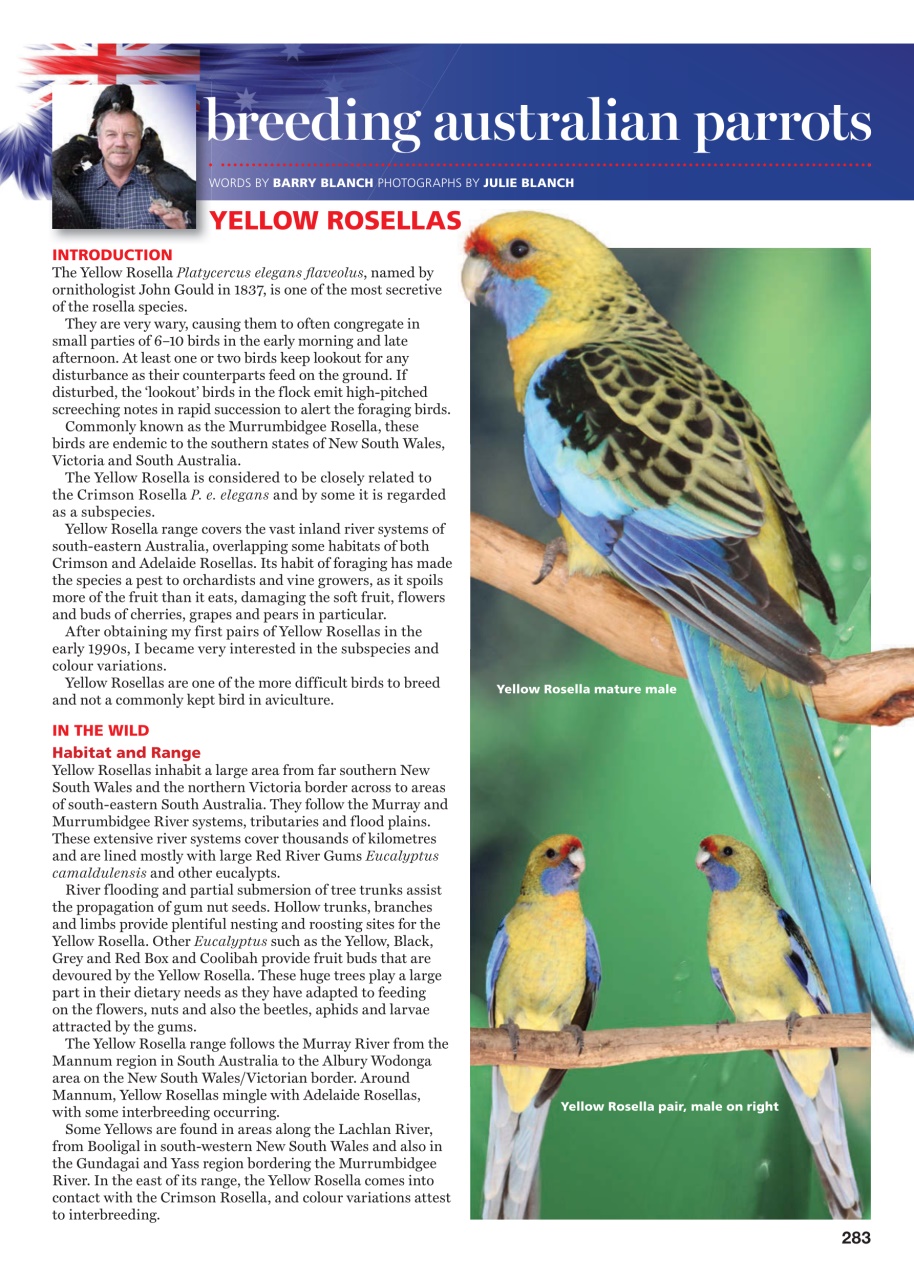 Australian Birdkeeper Magazine Preview Pages
