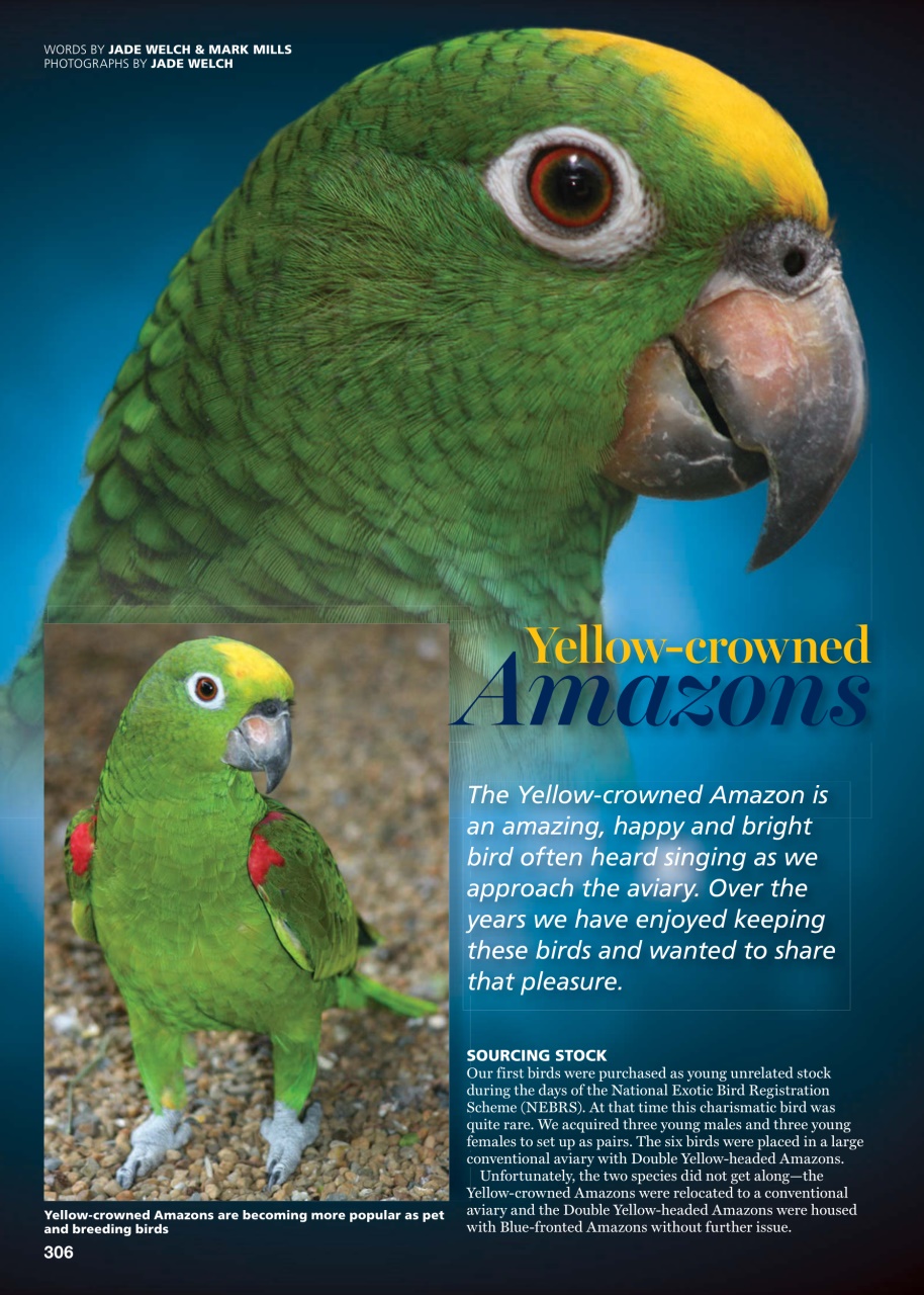 Australian Birdkeeper Magazine Preview Pages