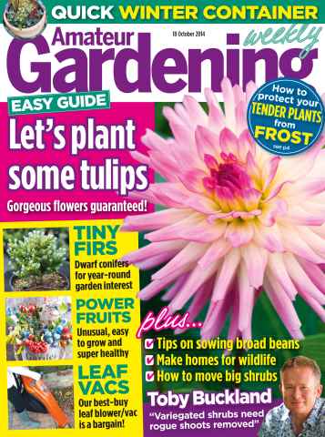 Amateur Gardening issue 18th October 2014
