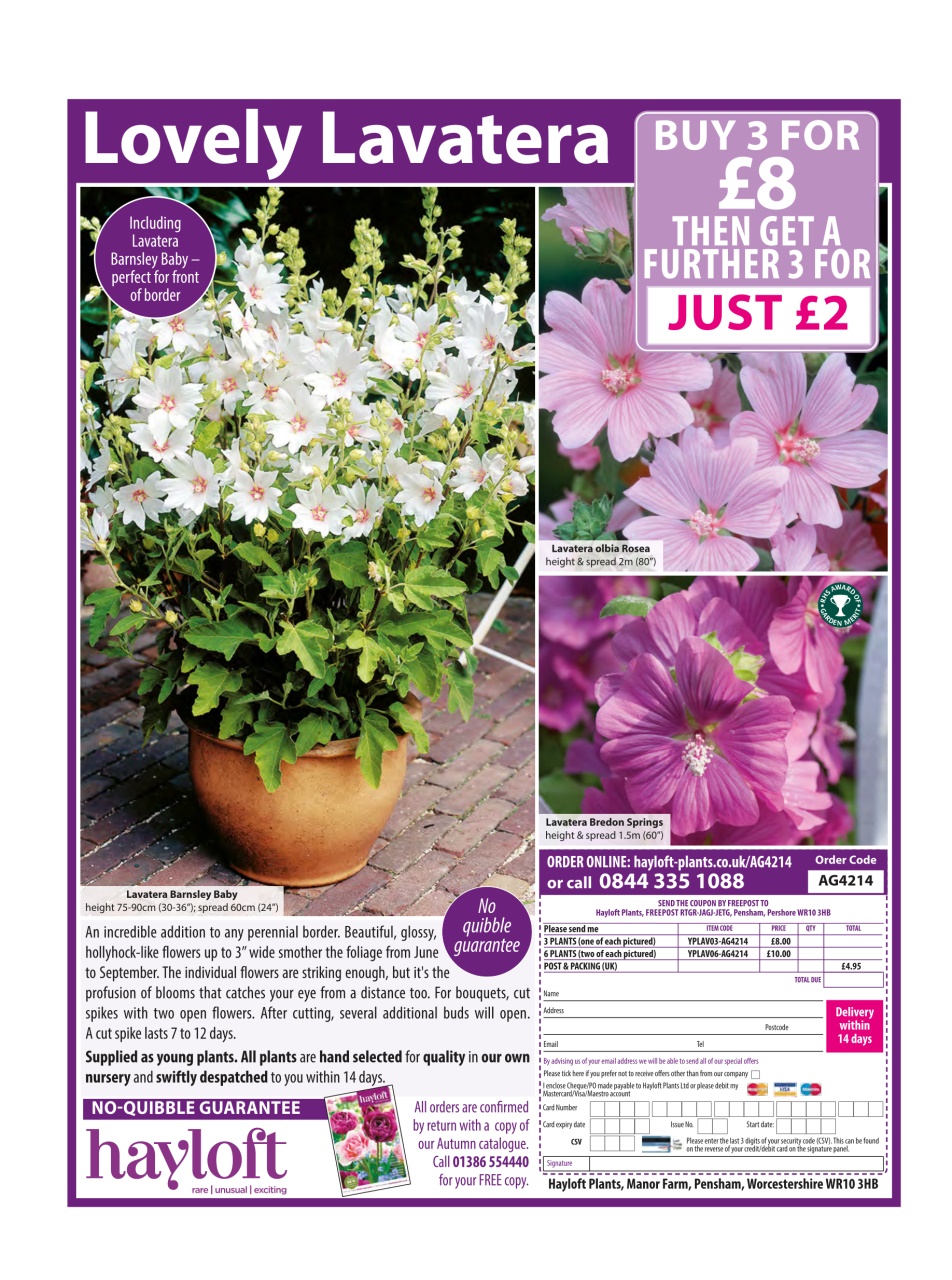 Amateur Gardening Preview Pages