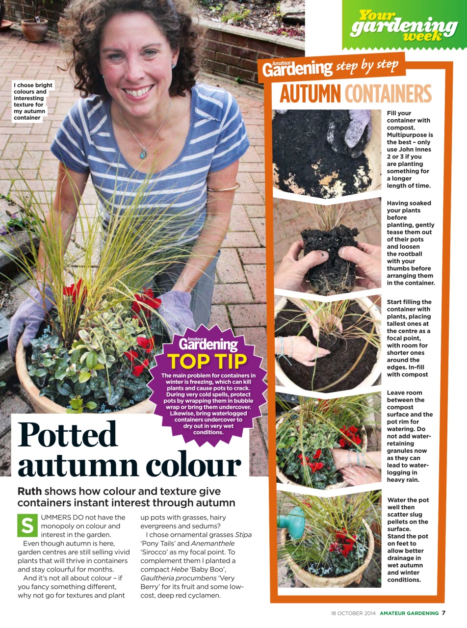 Amateur Gardening Preview Pages