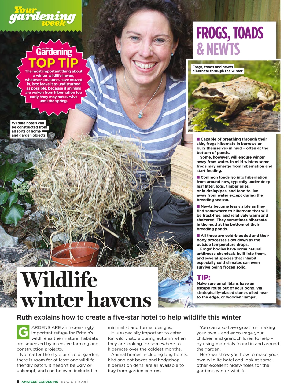 Amateur Gardening Preview Pages