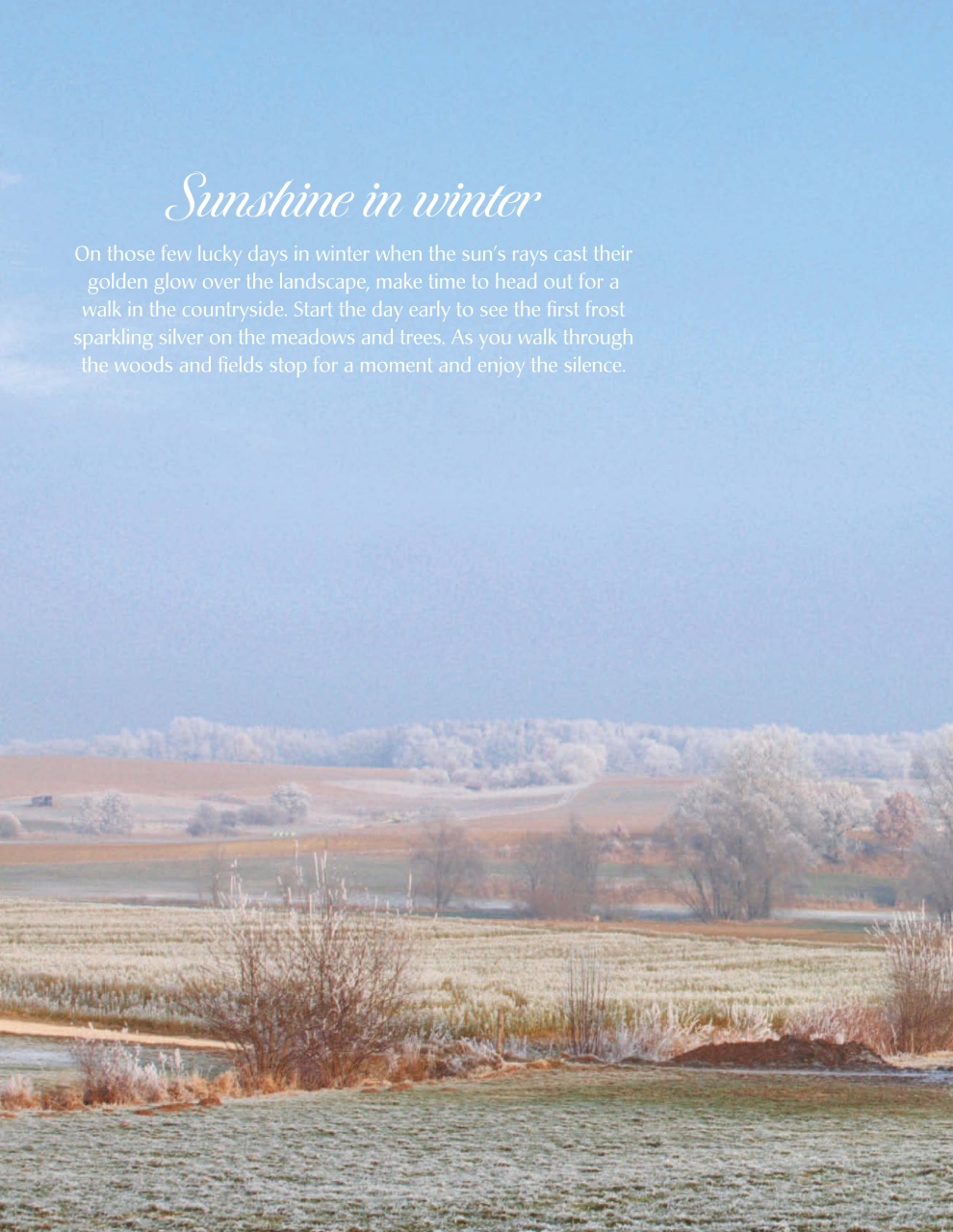 LandLove Magazine Preview Pages