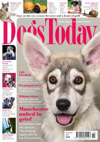 Dogs Today Magazine issue November 2014