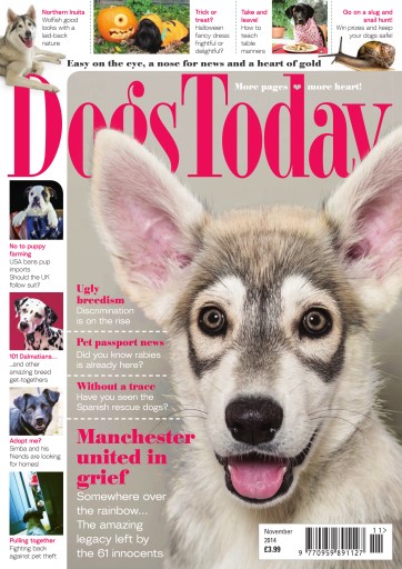 Dogs Today Magazine issue 