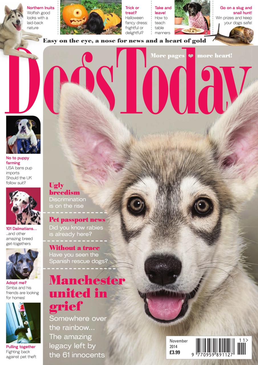 Dogs Today Magazine Preview Pages