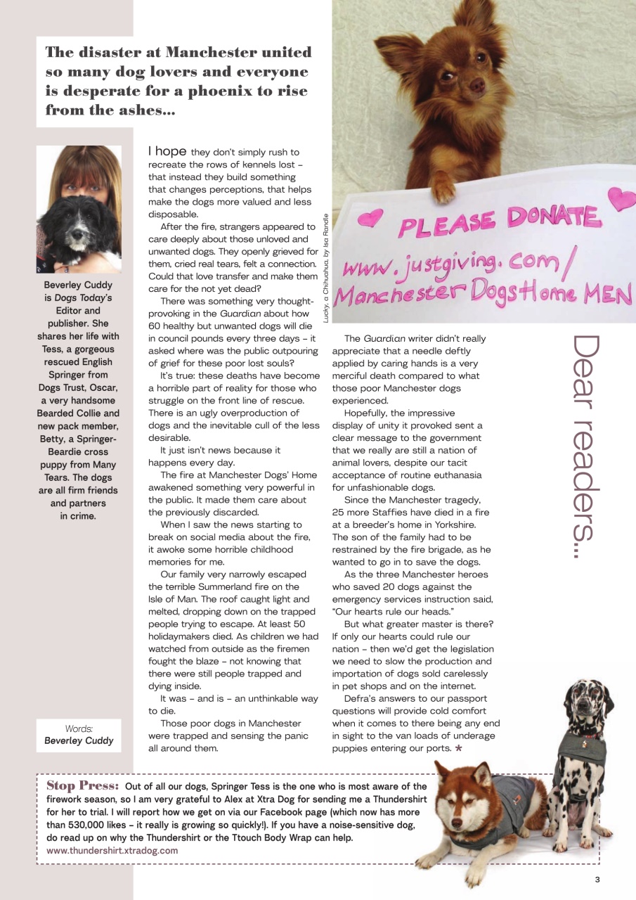 Dogs Today Magazine Preview Pages
