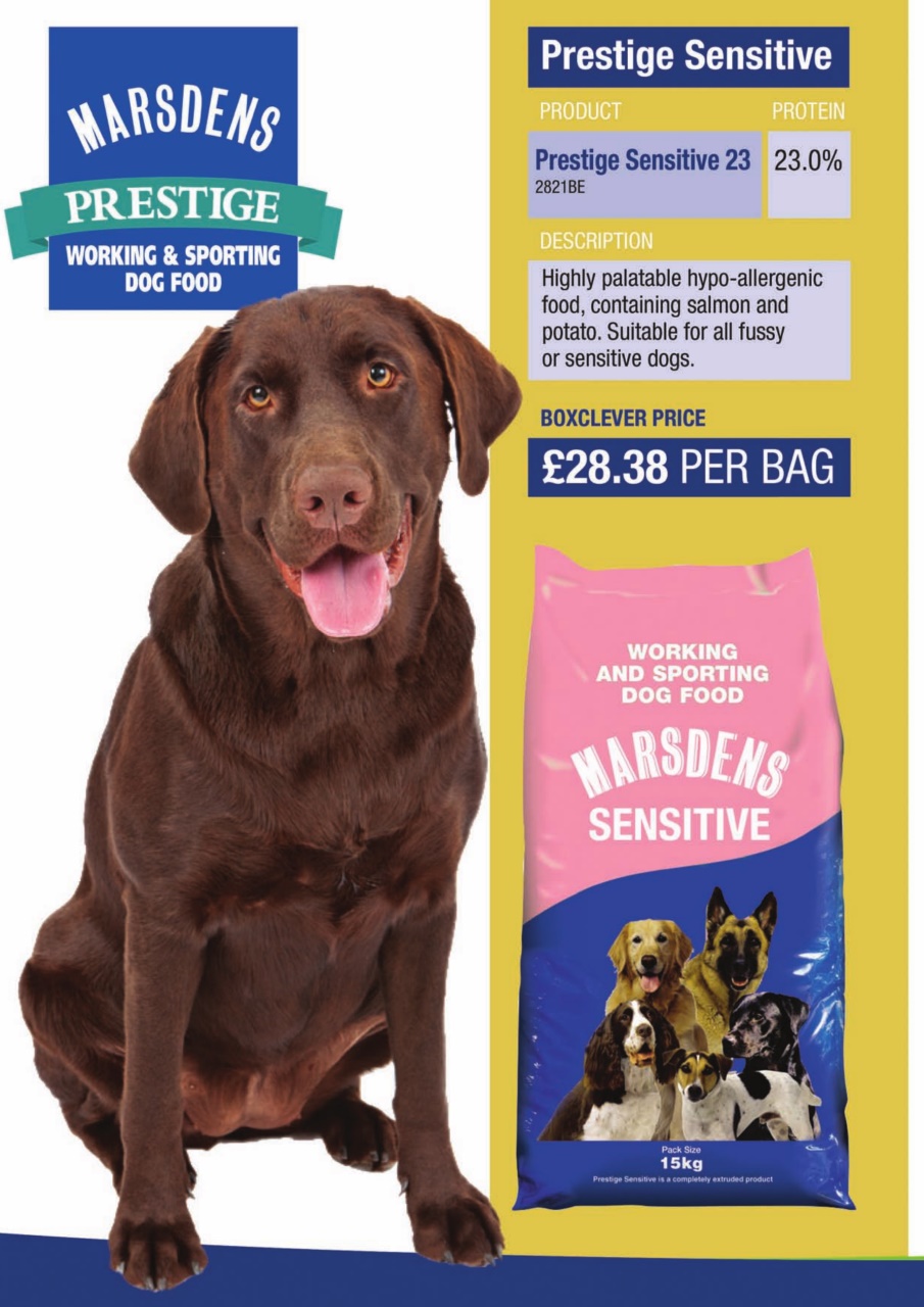 Dogs Today Magazine Preview Pages