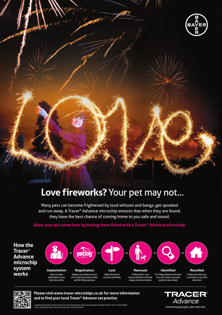 Dogs Today Magazine Preview Pages