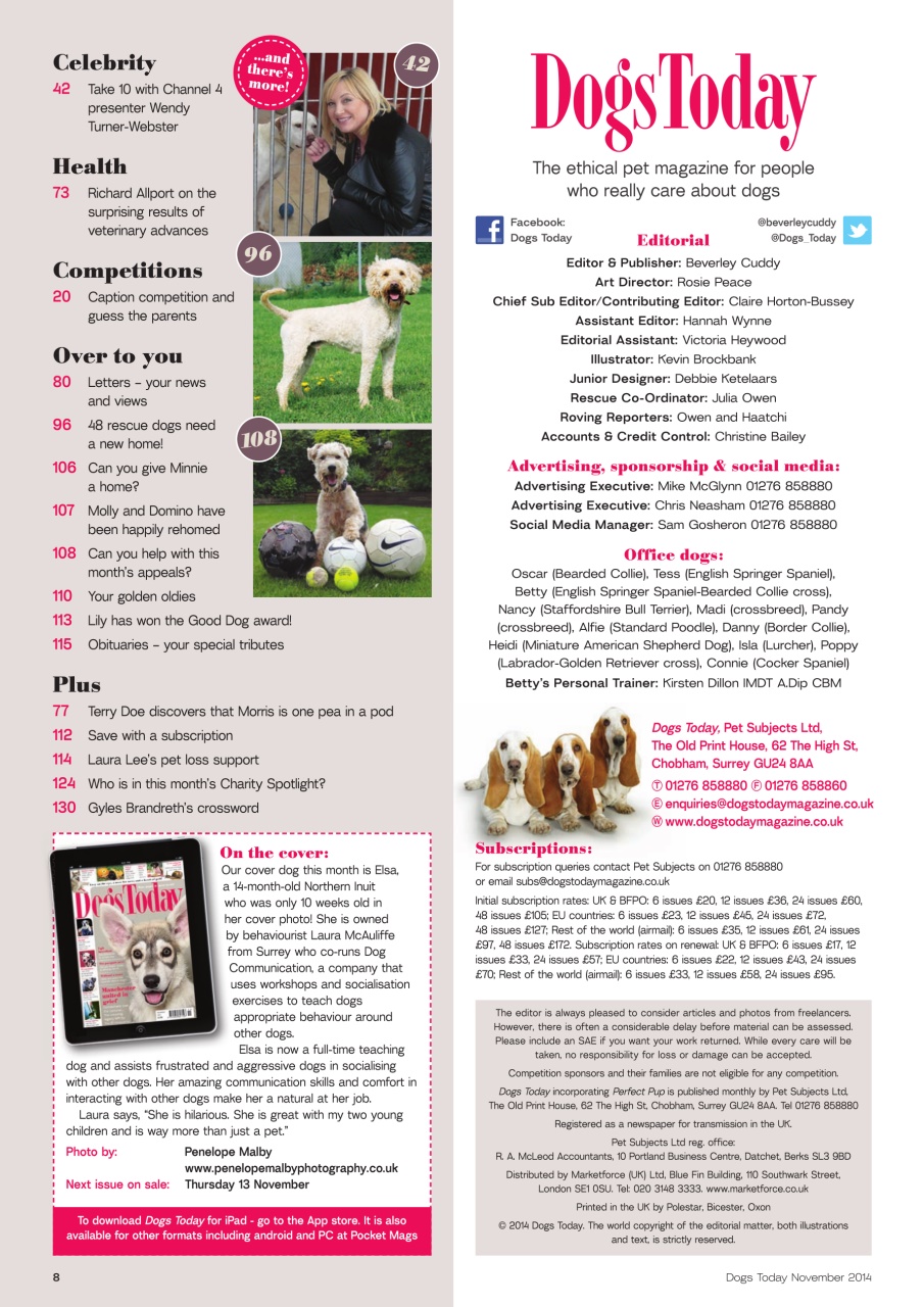 Dogs Today Magazine Preview Pages
