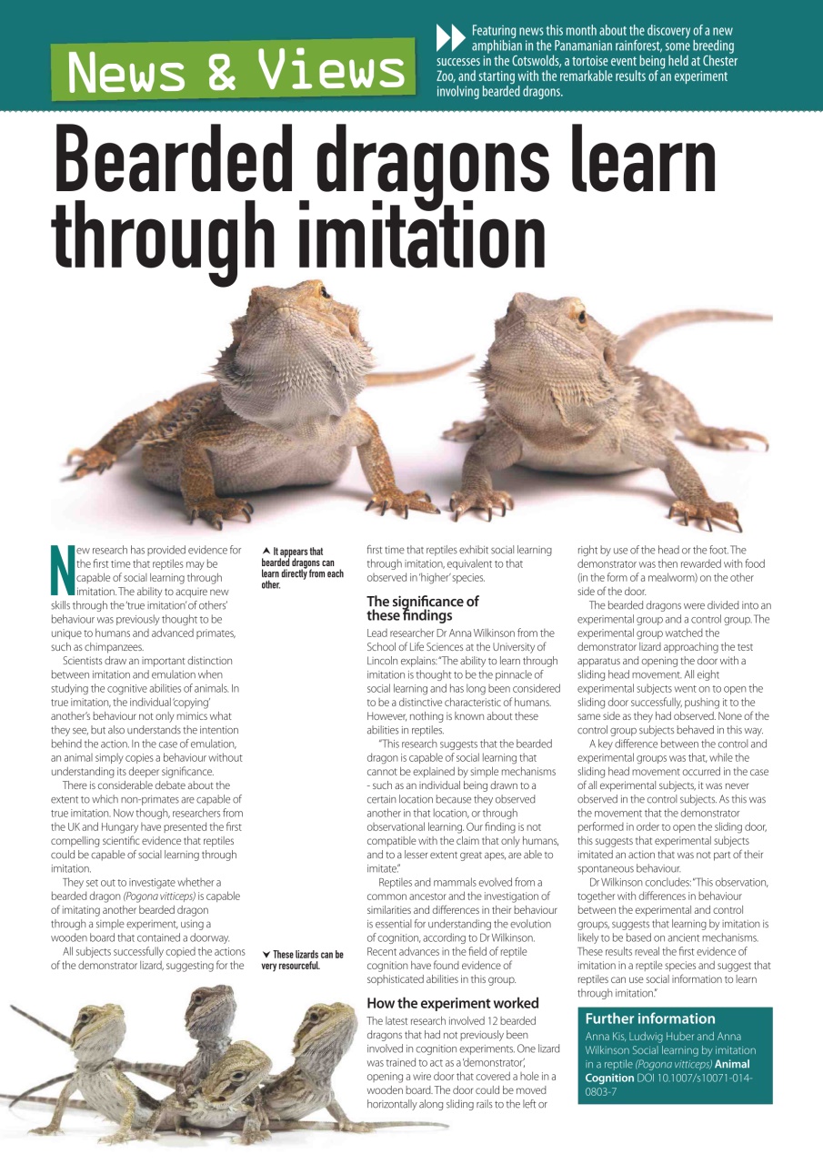 Practical Reptile Keeping Preview Pages