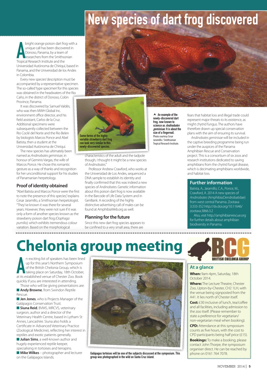 Practical Reptile Keeping Preview Pages