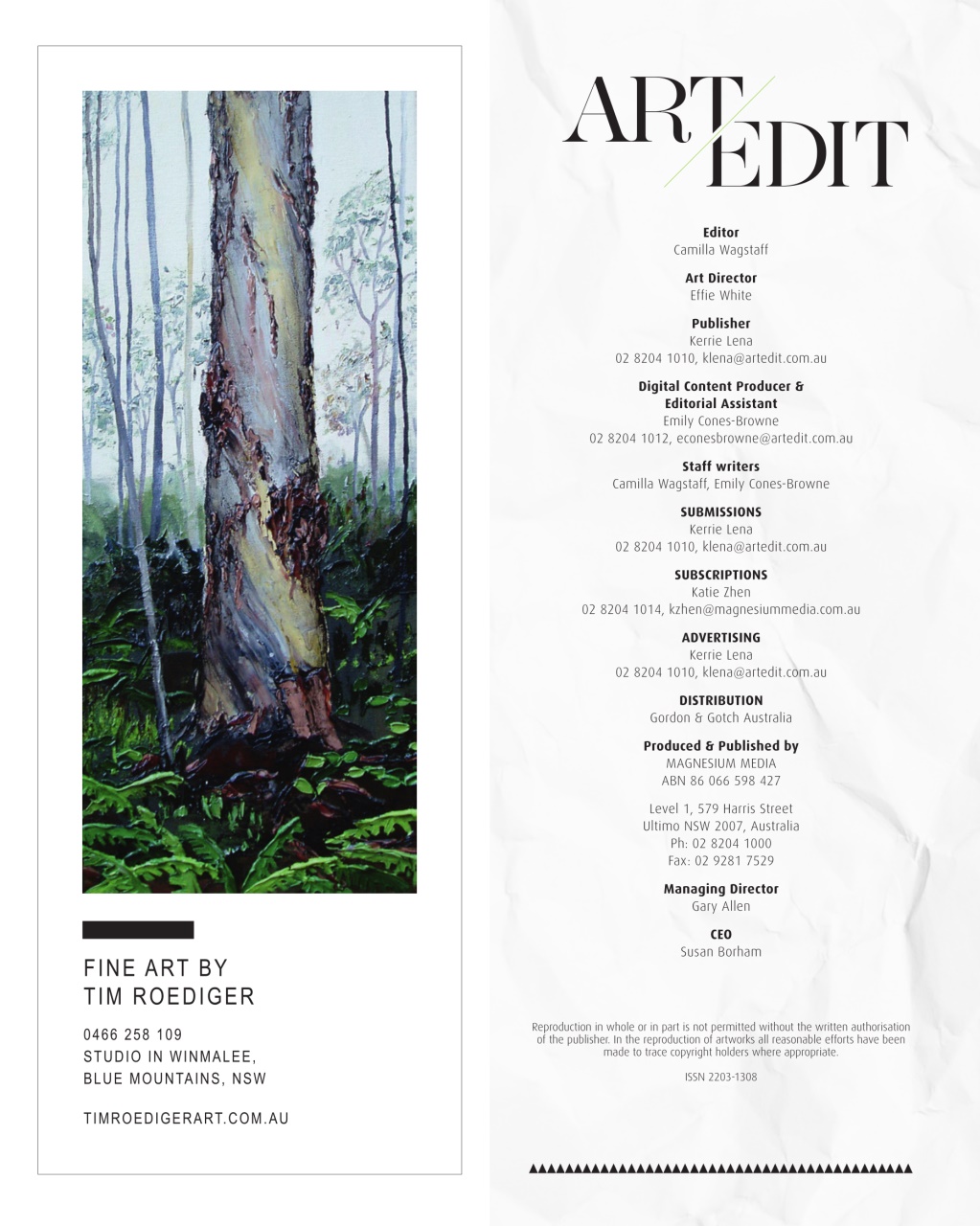 Art Edit Preview Pages