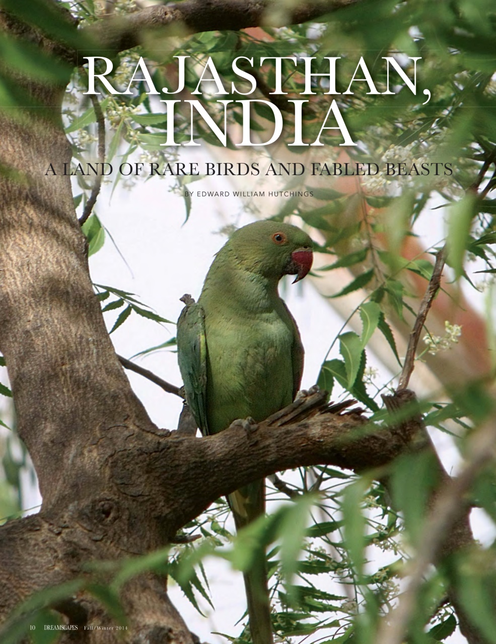 Dreamscapes Preview Pages