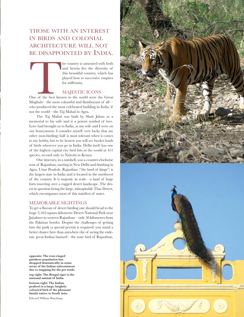 Dreamscapes Preview Pages