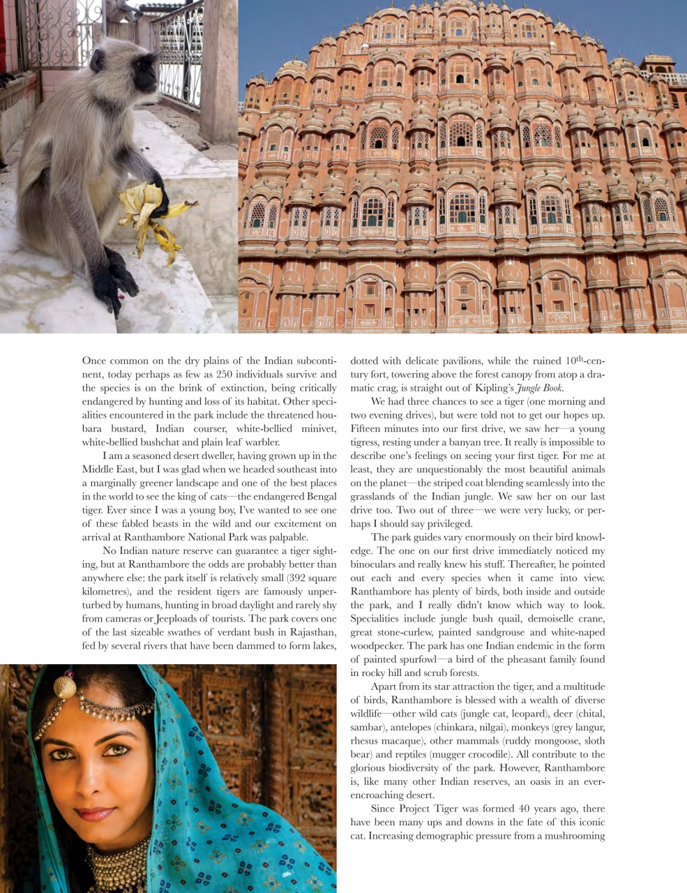 Dreamscapes Preview Pages