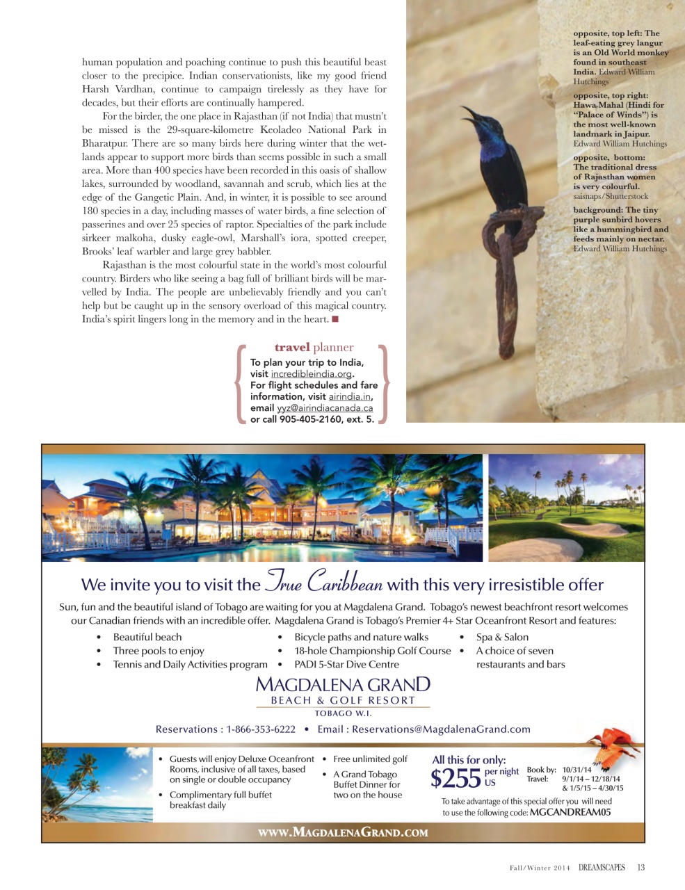 Dreamscapes Preview Pages