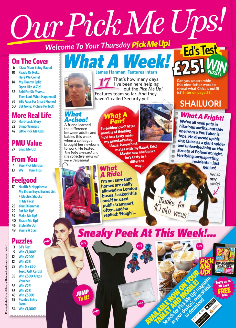 Pick Me Up Preview Pages