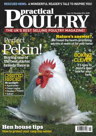 Practical Poultry issue No.130 Perfect Pekin!