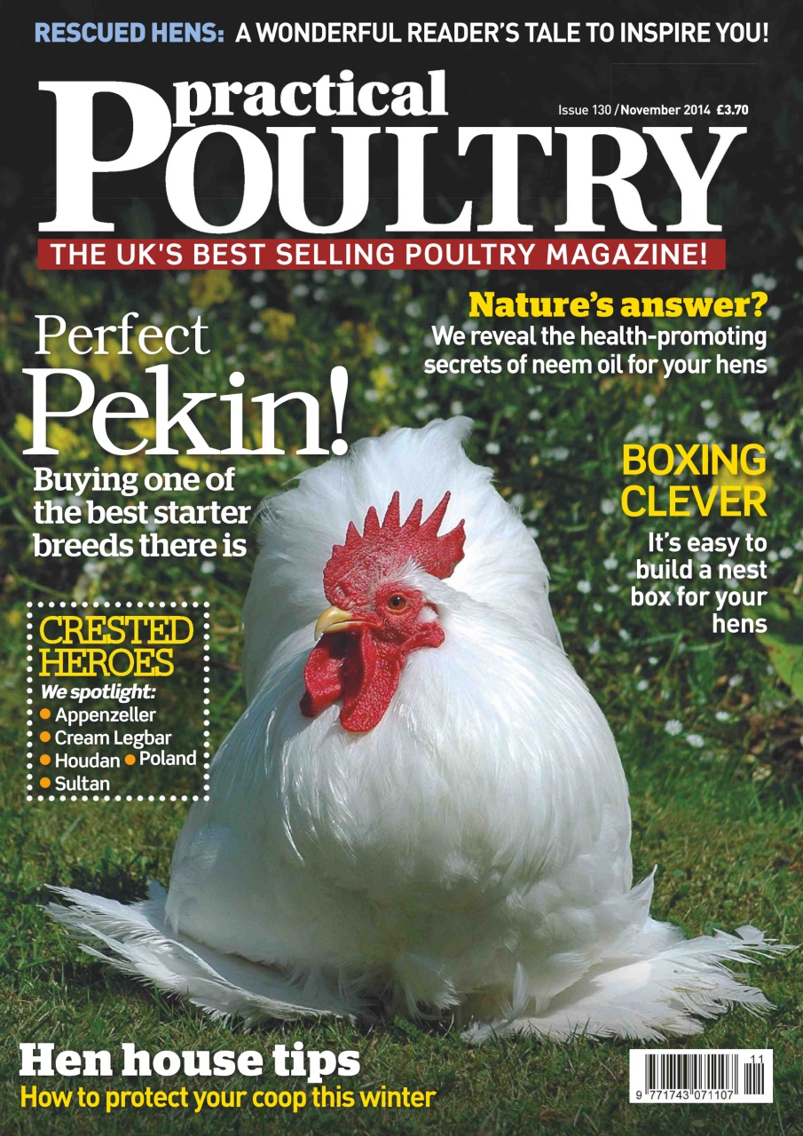 Practical Poultry Preview Pages