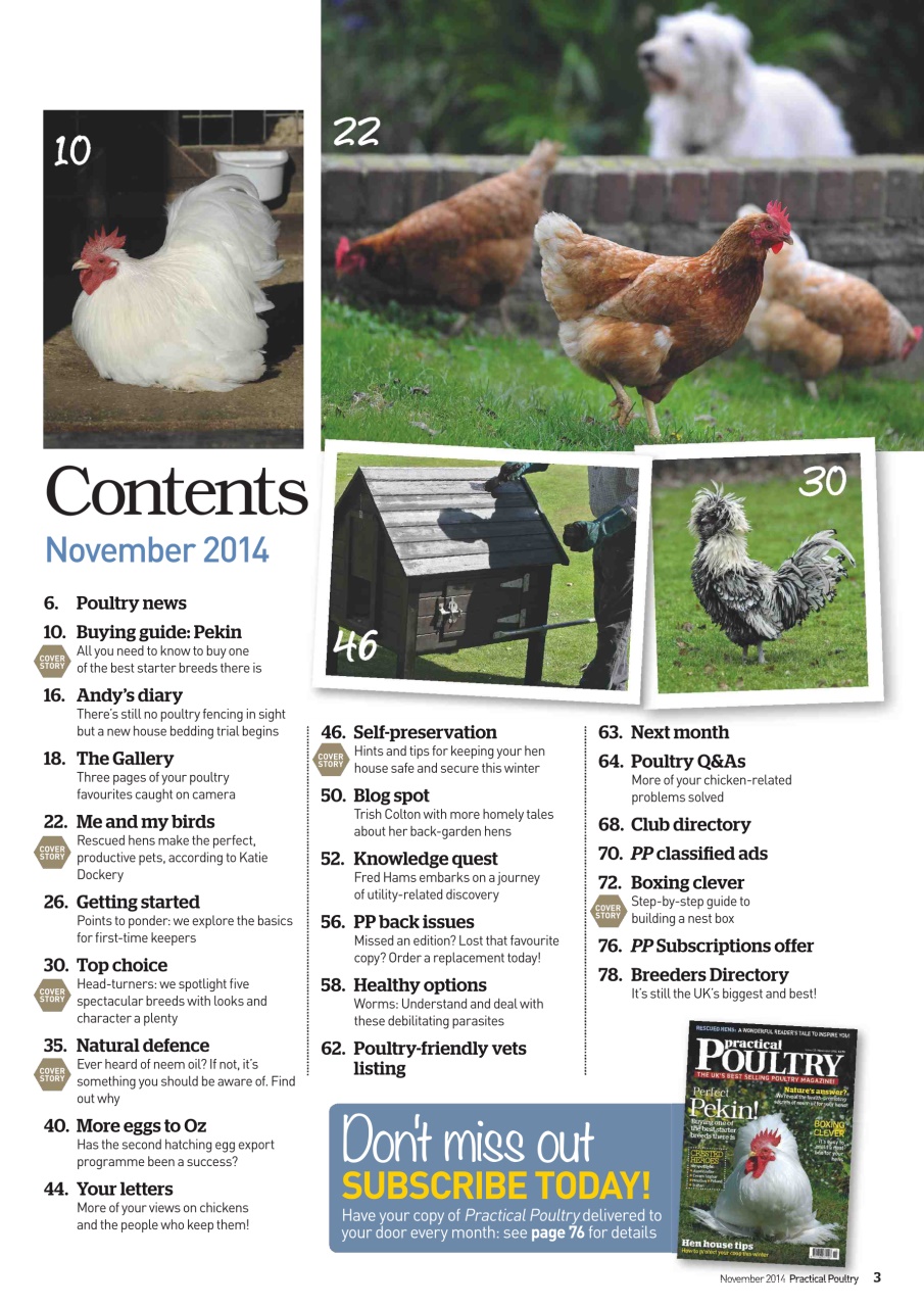 Practical Poultry Preview Pages