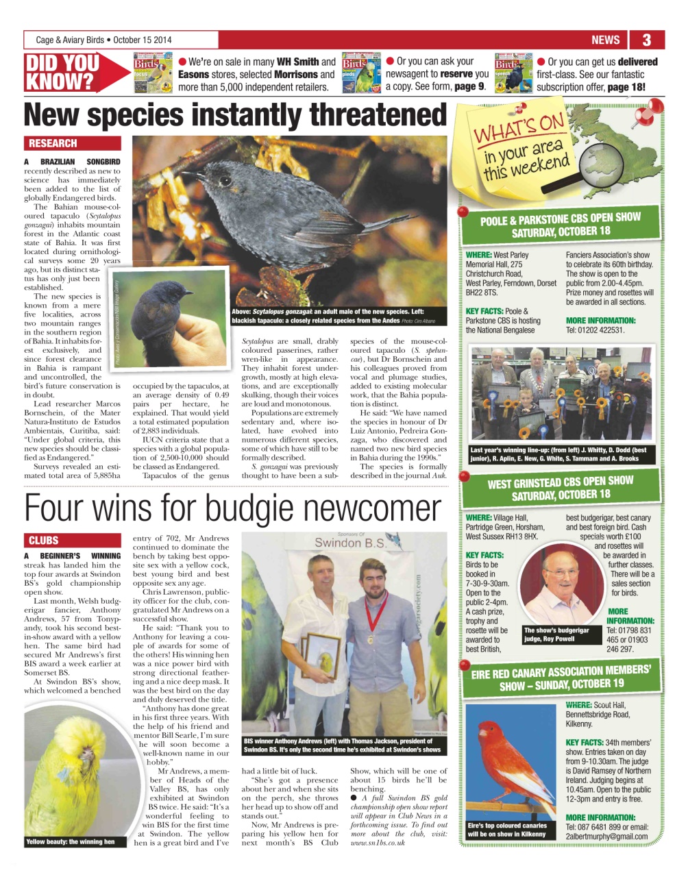 Cage & Aviary Birds Preview Pages