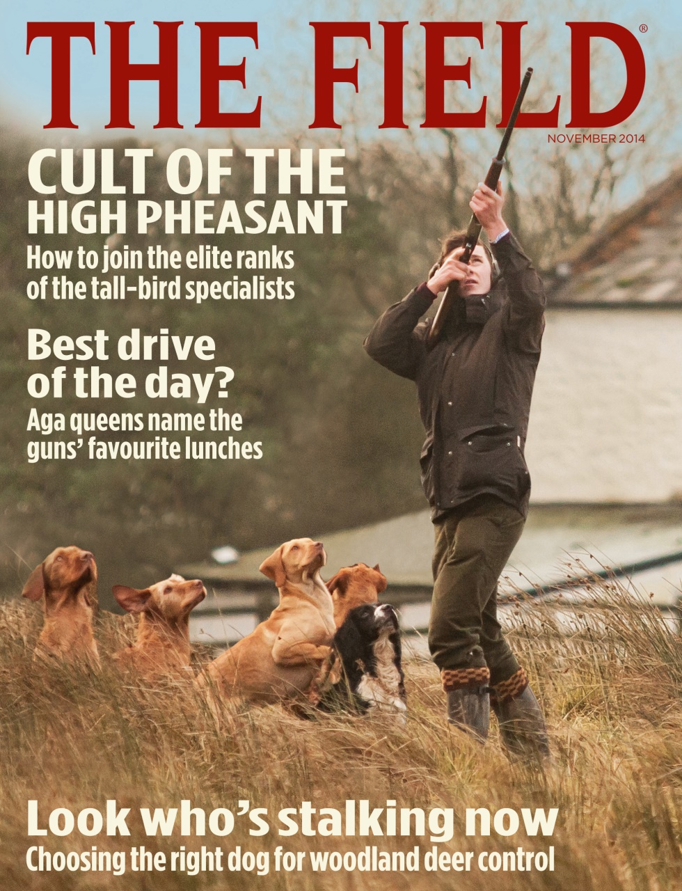 The Field Preview Pages