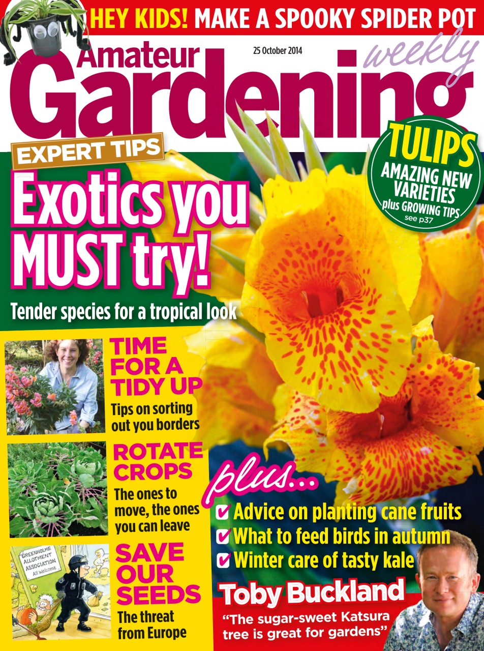 Amateur Gardening Preview Pages