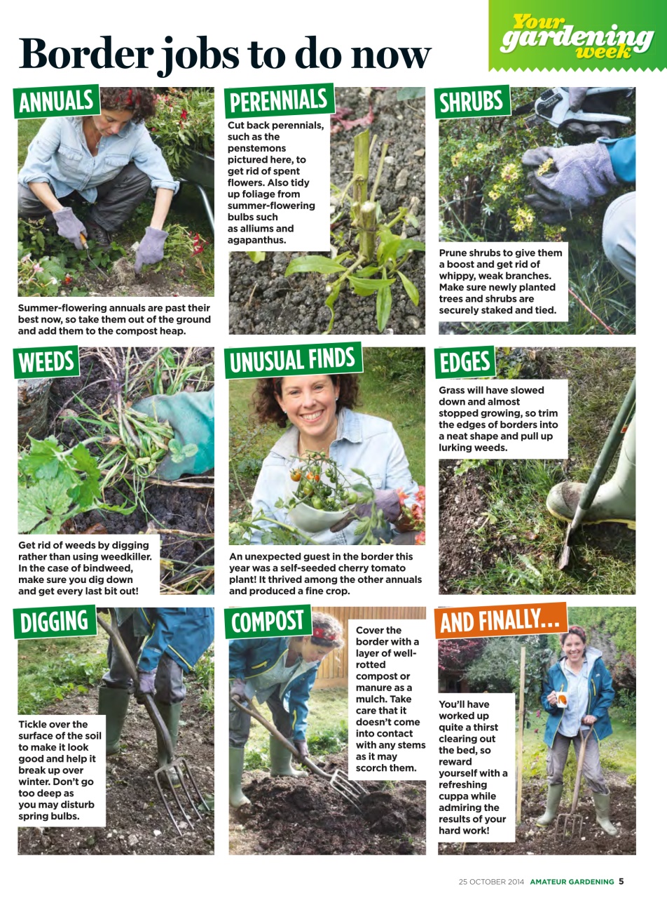 Amateur Gardening Preview Pages