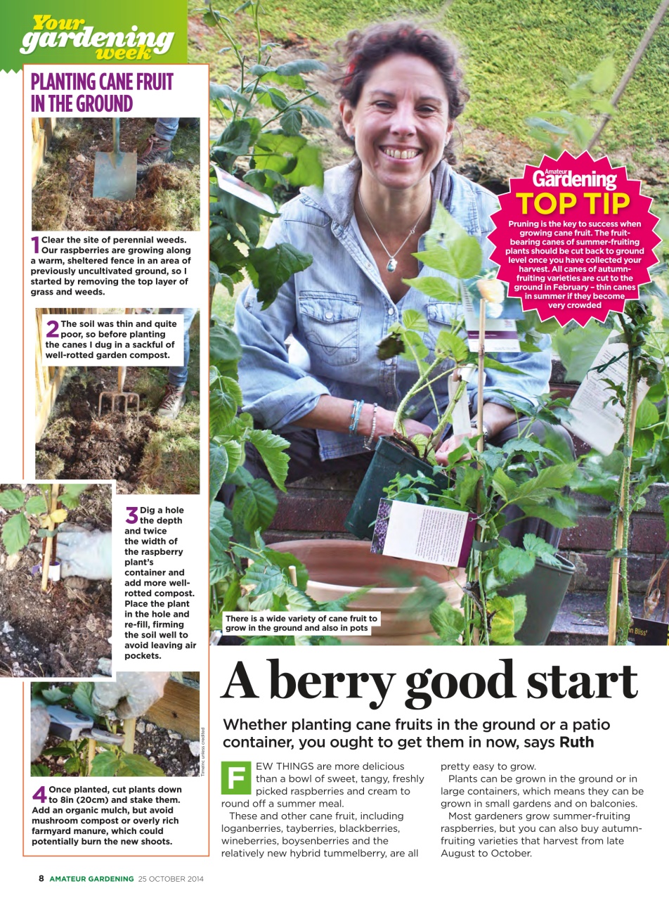 Amateur Gardening Preview Pages