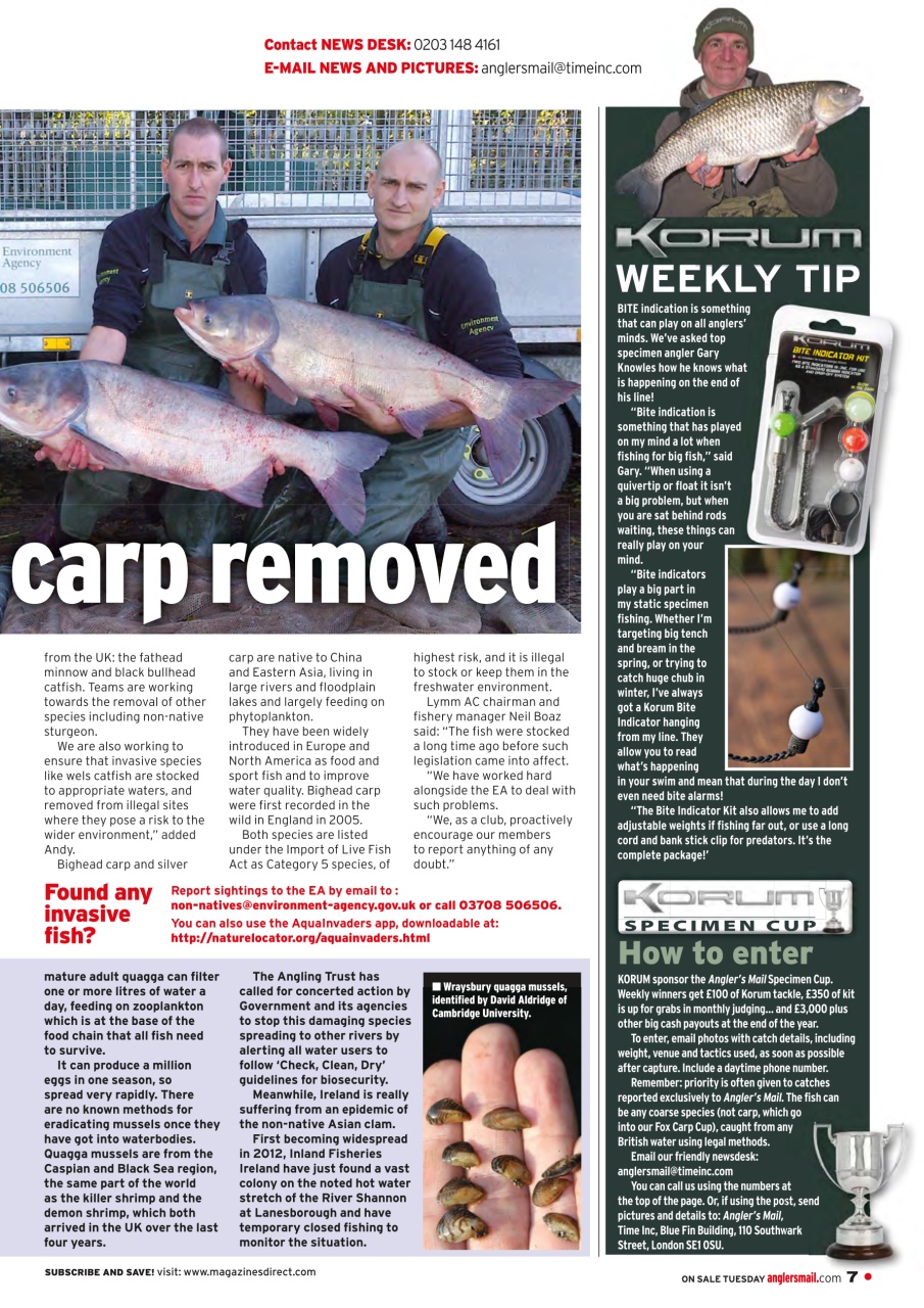Anglers Mail Preview Pages