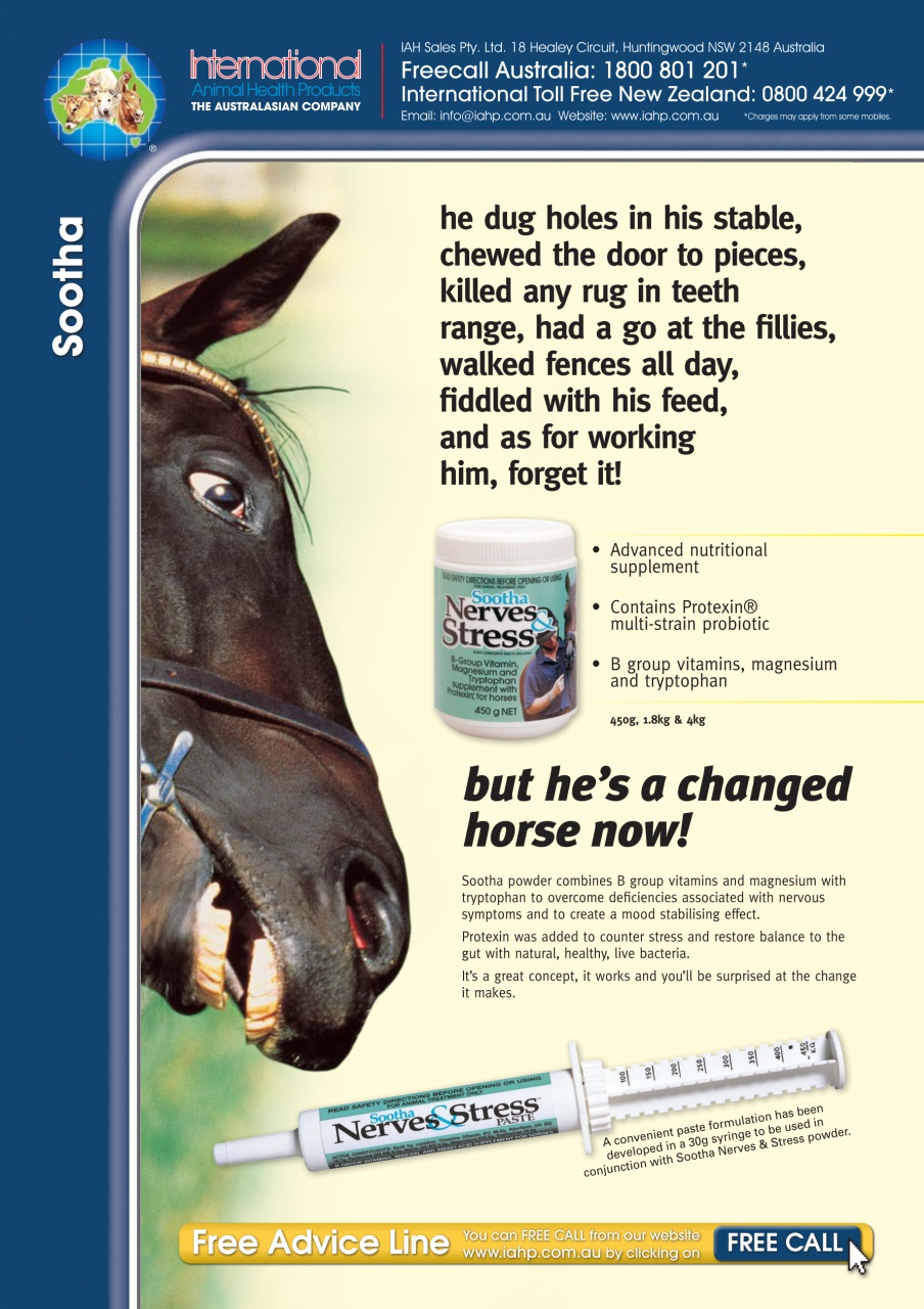 The Horse Magazine Preview Pages